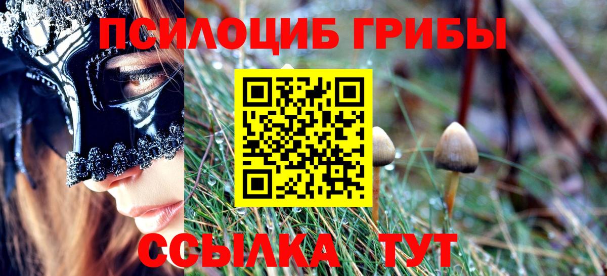Псилоцибиновые грибы MAGIC MUSHROOMS Железногорск