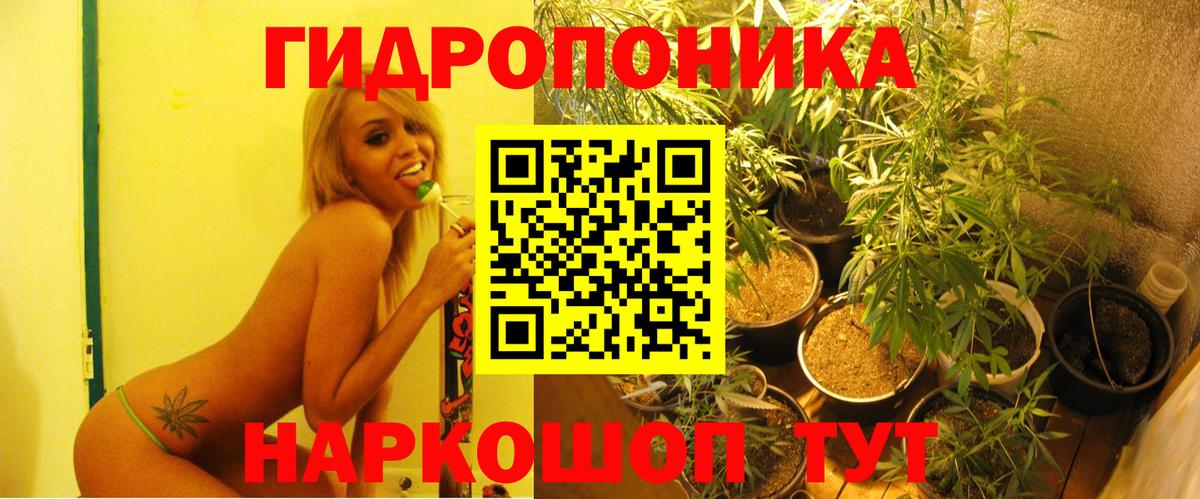 Бошки Шишки конопля Железногорск